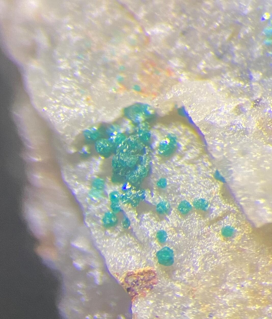 Herbertsmithite