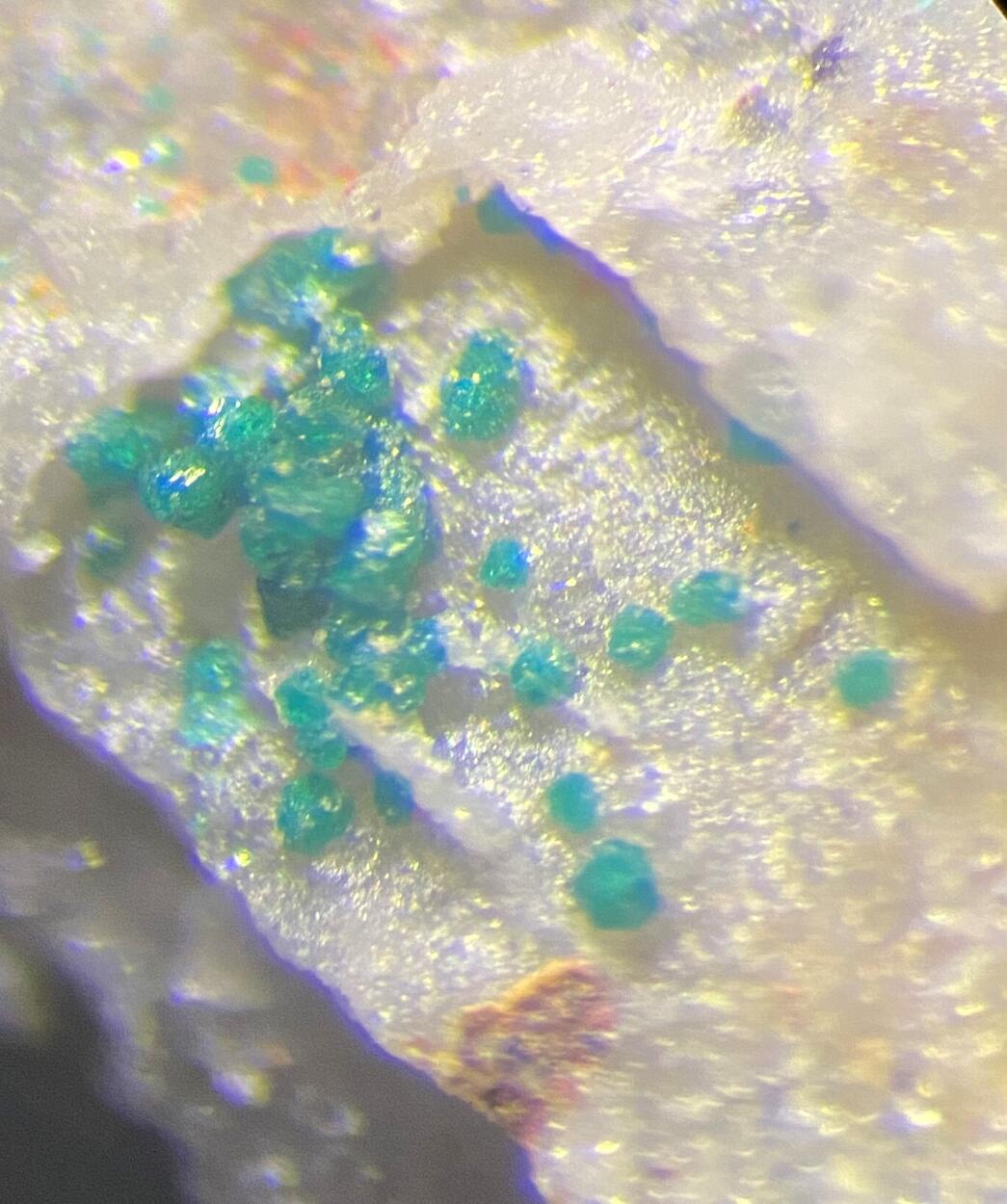 Herbertsmithite