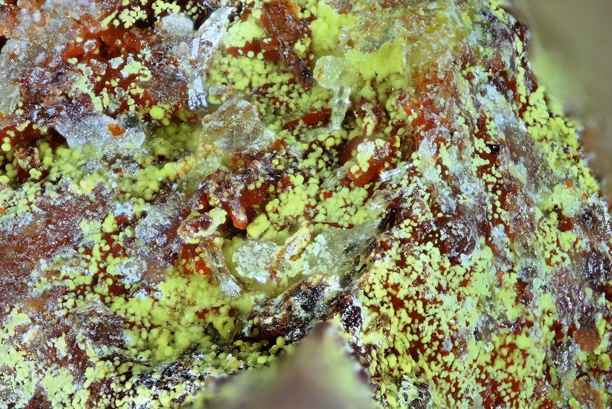 Kintoreite