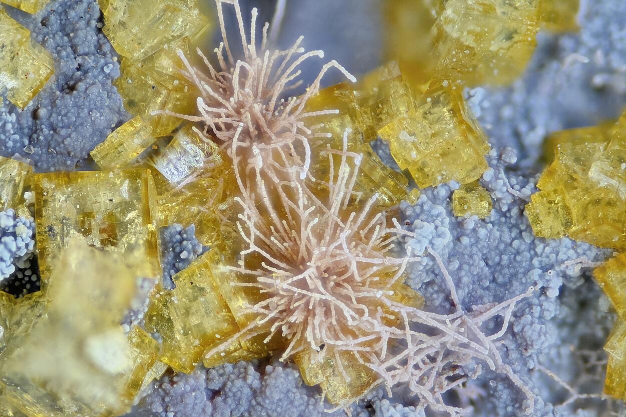 Pharmacosiderite