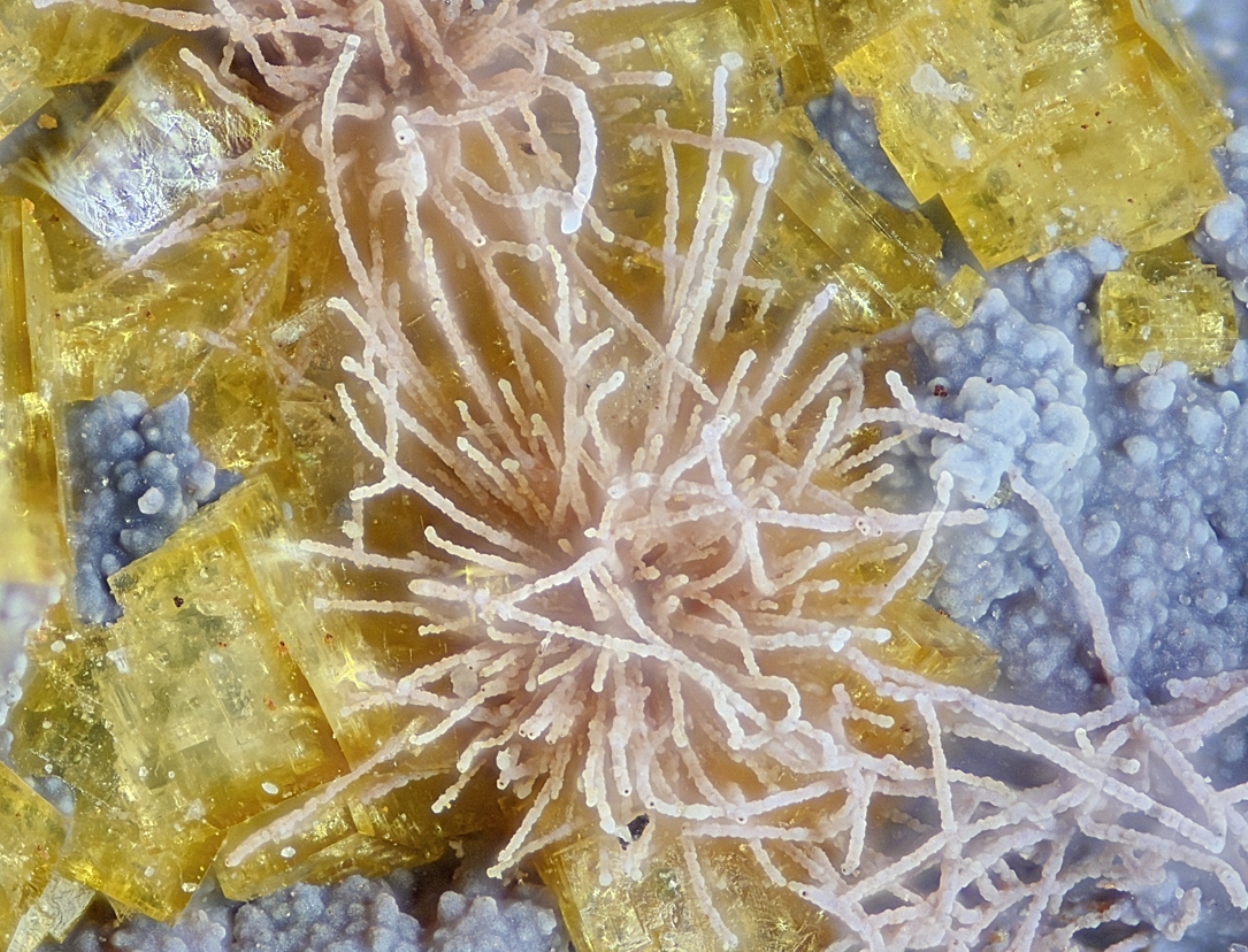 Pharmacosiderite