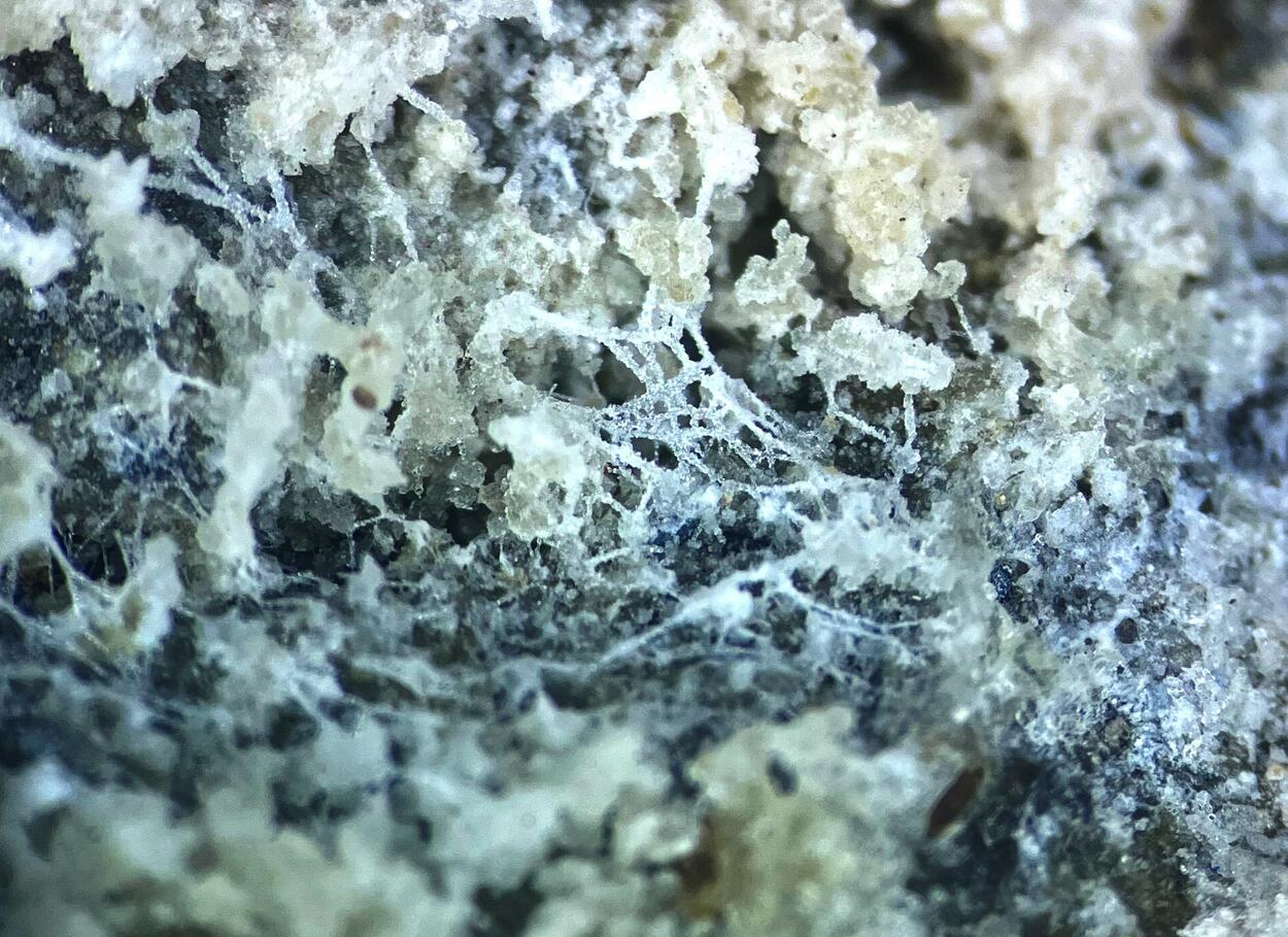 Hyalite
