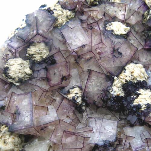 Fluorite & Baryte