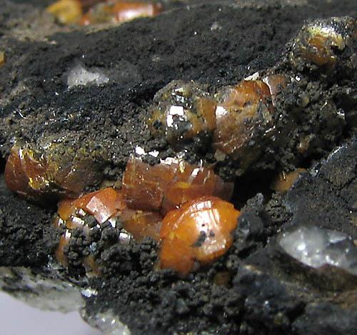 Campylite