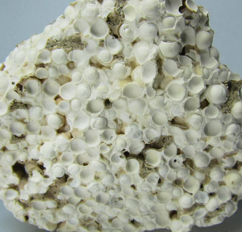 Aragonite Var Aragonite