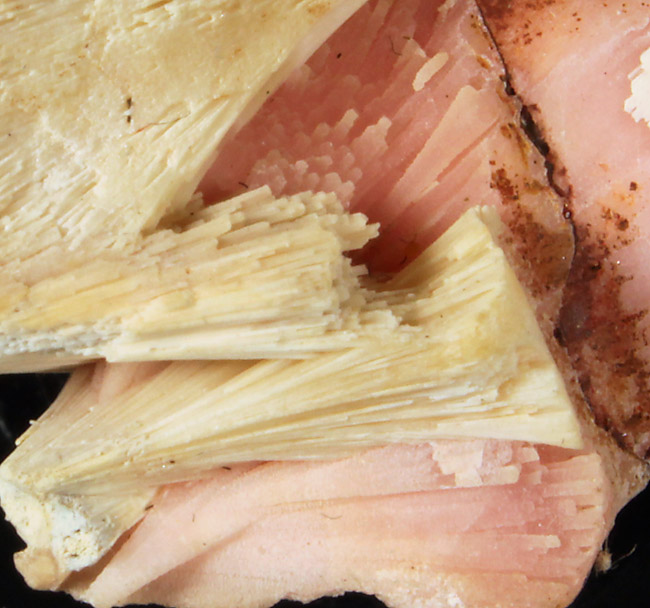 Kutnohorite
