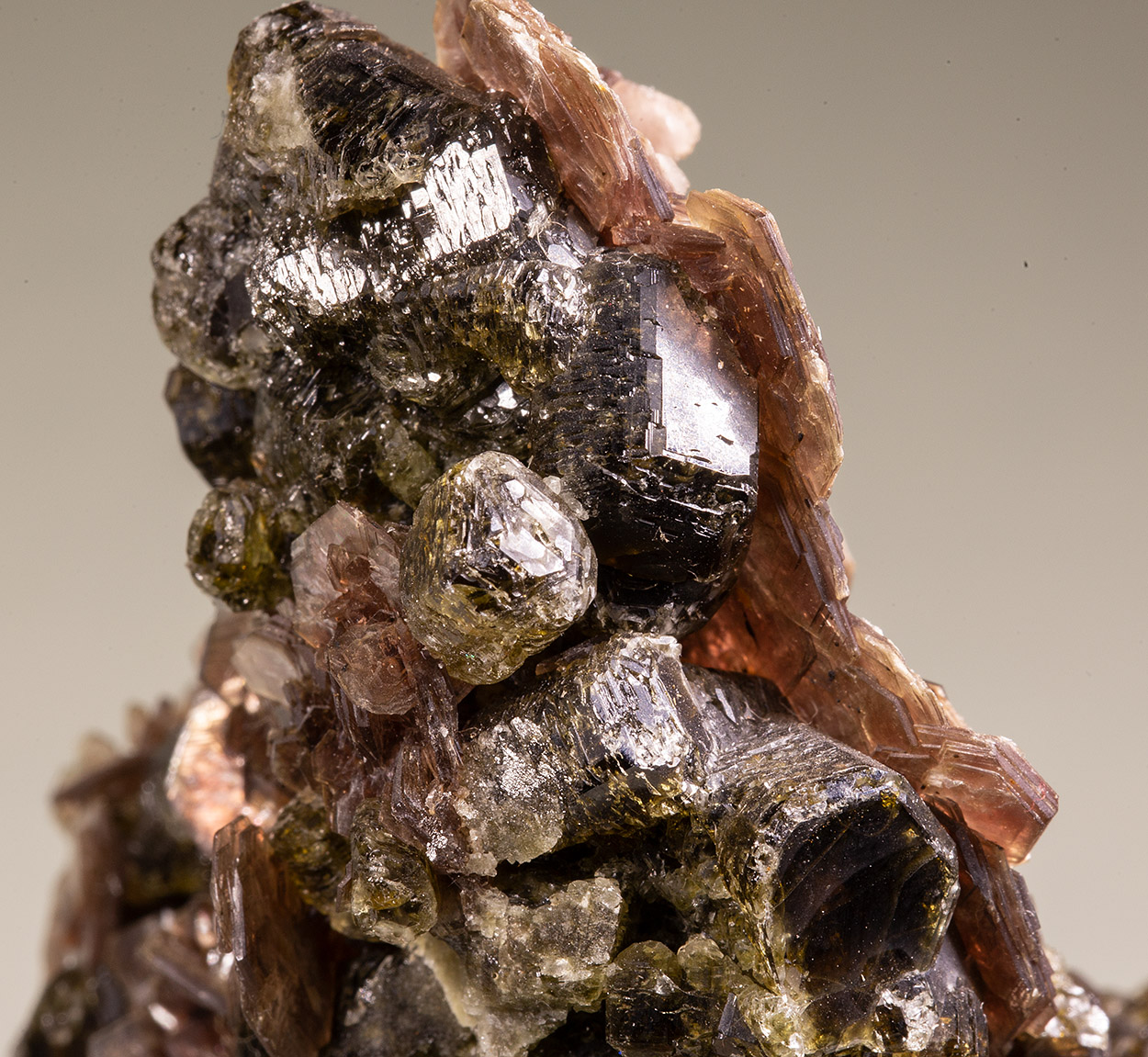 Muscovite & Fluorapatite