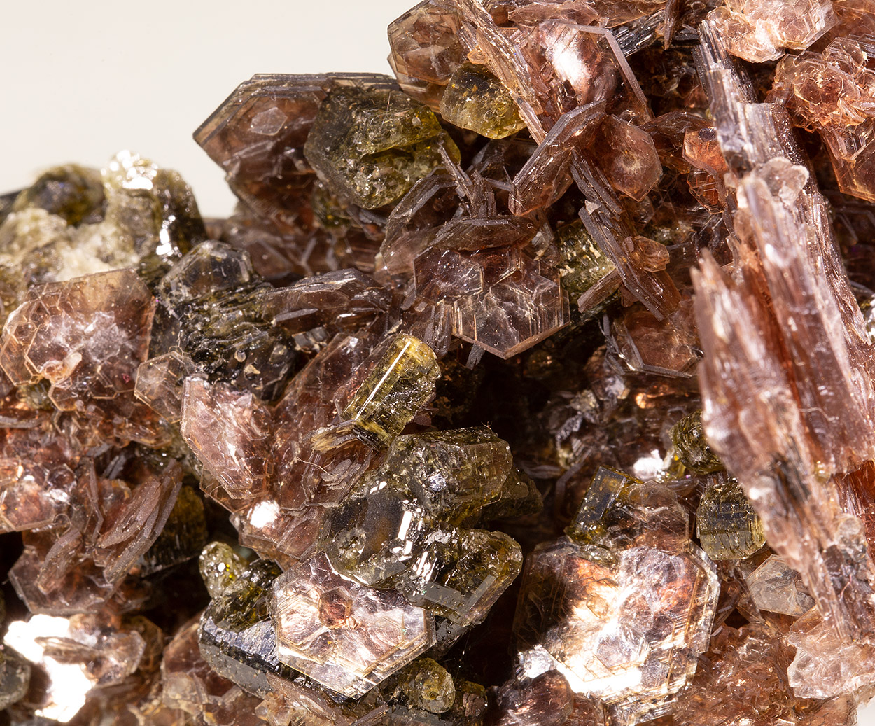 Muscovite & Fluorapatite