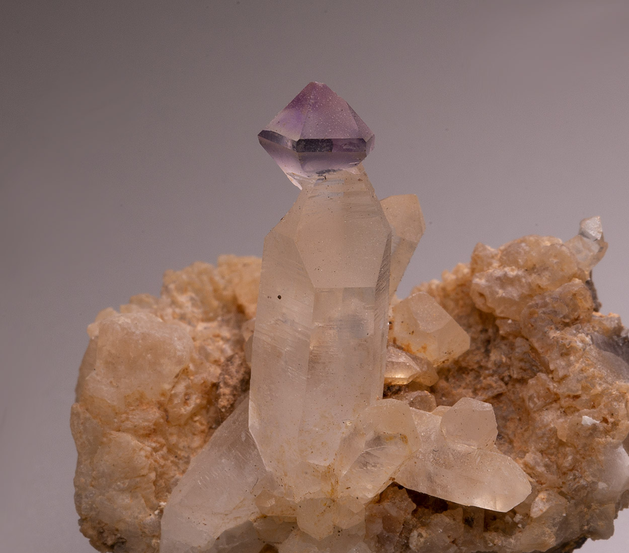 Amethyst & Quartz Var Sceptre