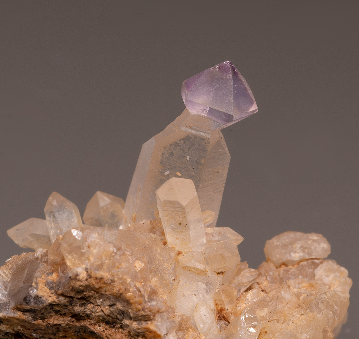 Amethyst & Quartz Var Sceptre