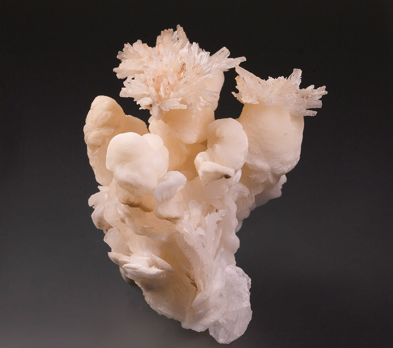 Calcite & Aragonite