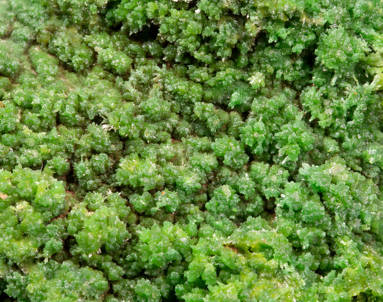 Pyromorphite