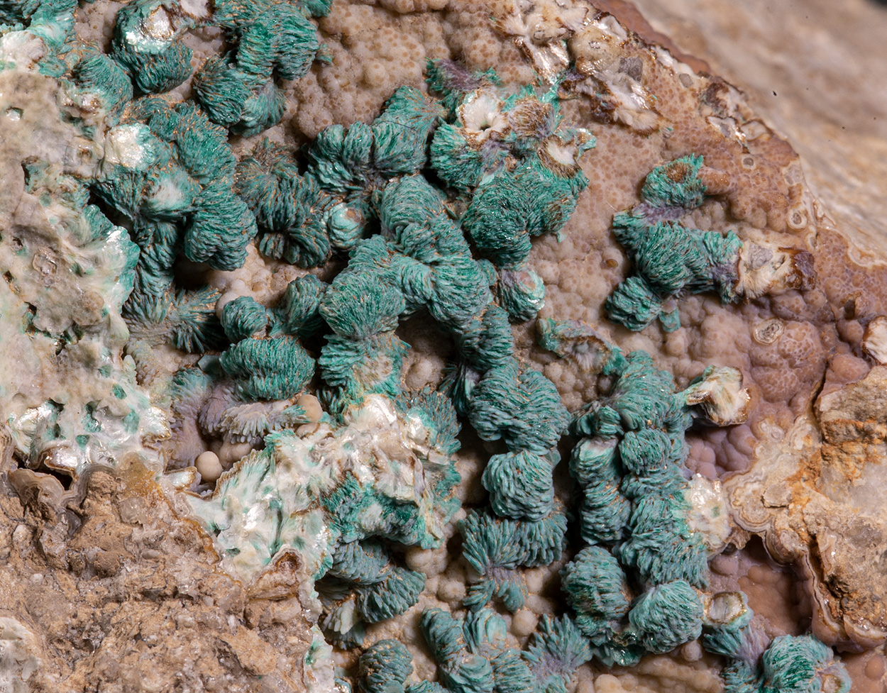 Hemimorphite Aurichalcite & Smithsonite