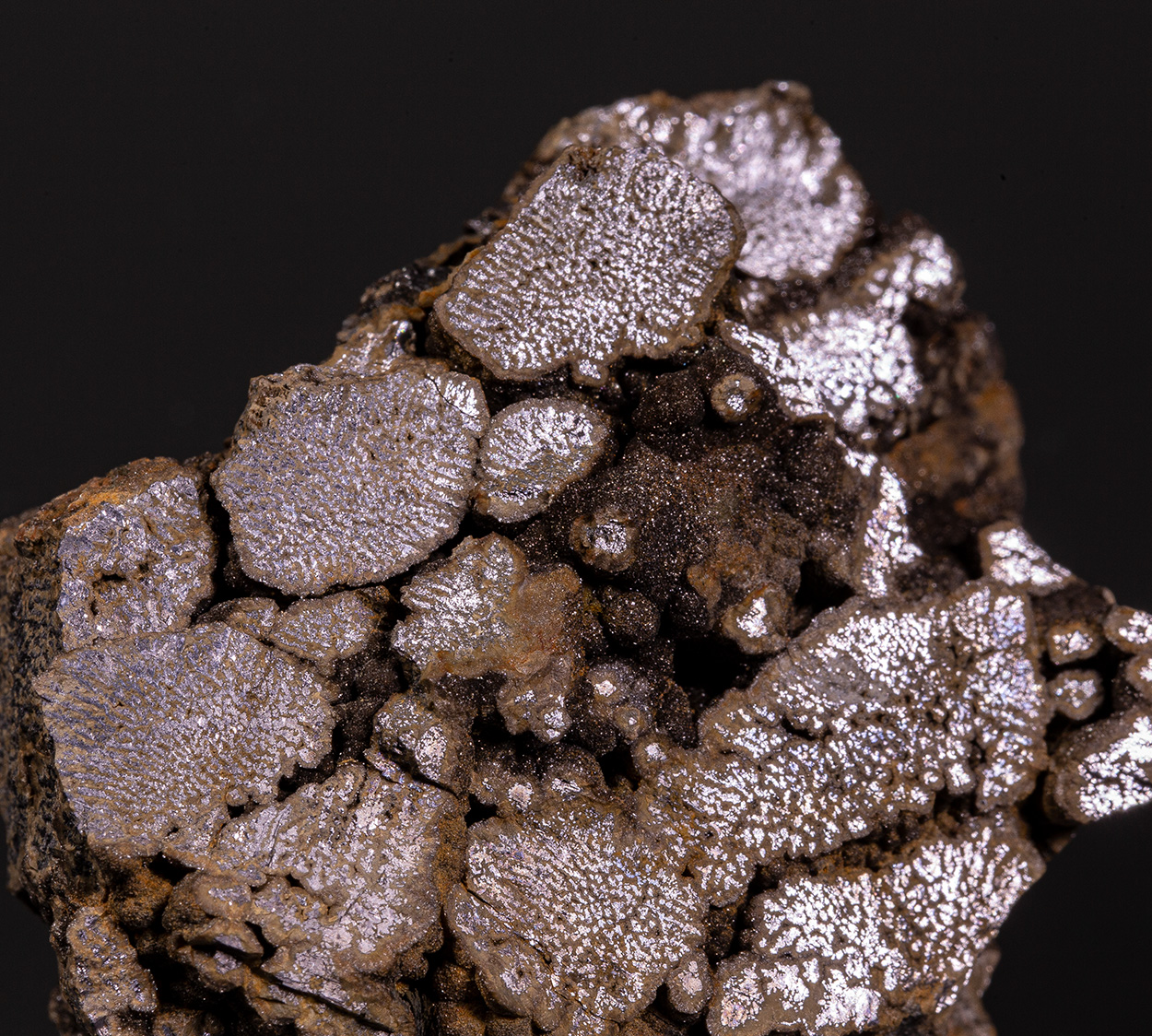 Galena Var Strickblende & Sphalerite Var Schalenblende