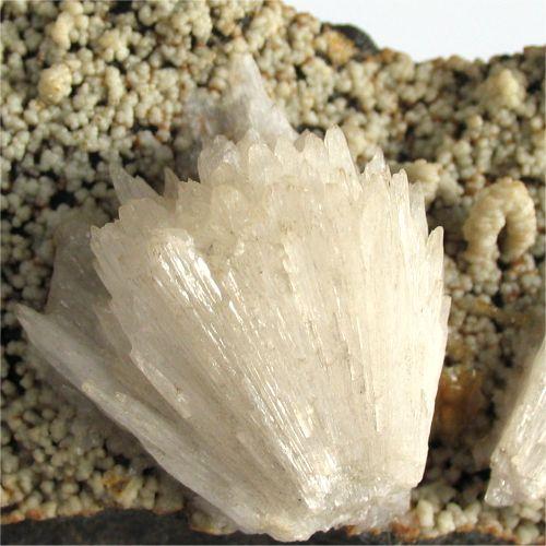 Aragonite