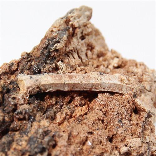 Apatite