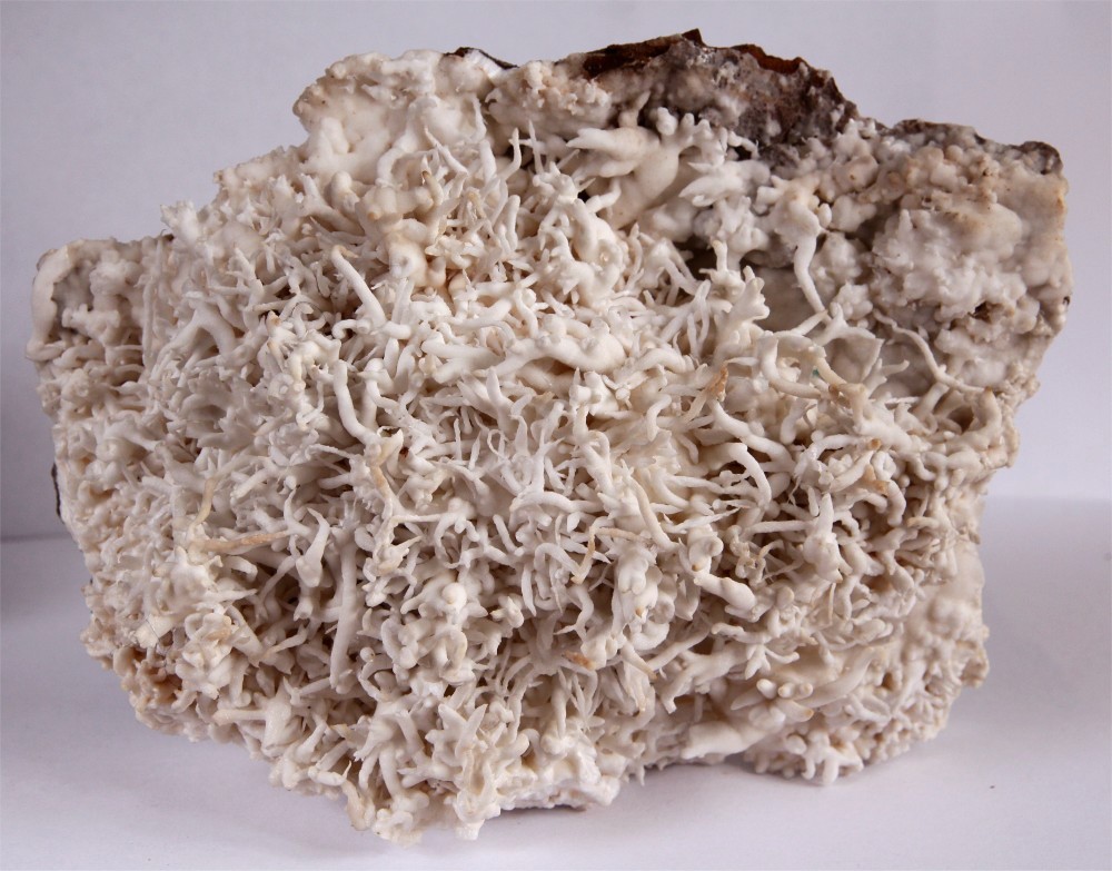 Aragonite Var Flos Ferri