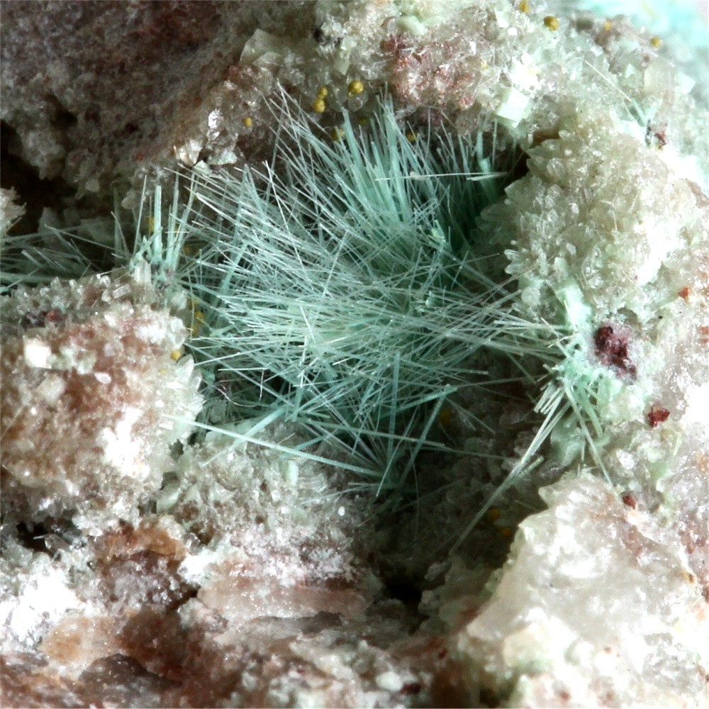 Chrysocolla With Bayldonite