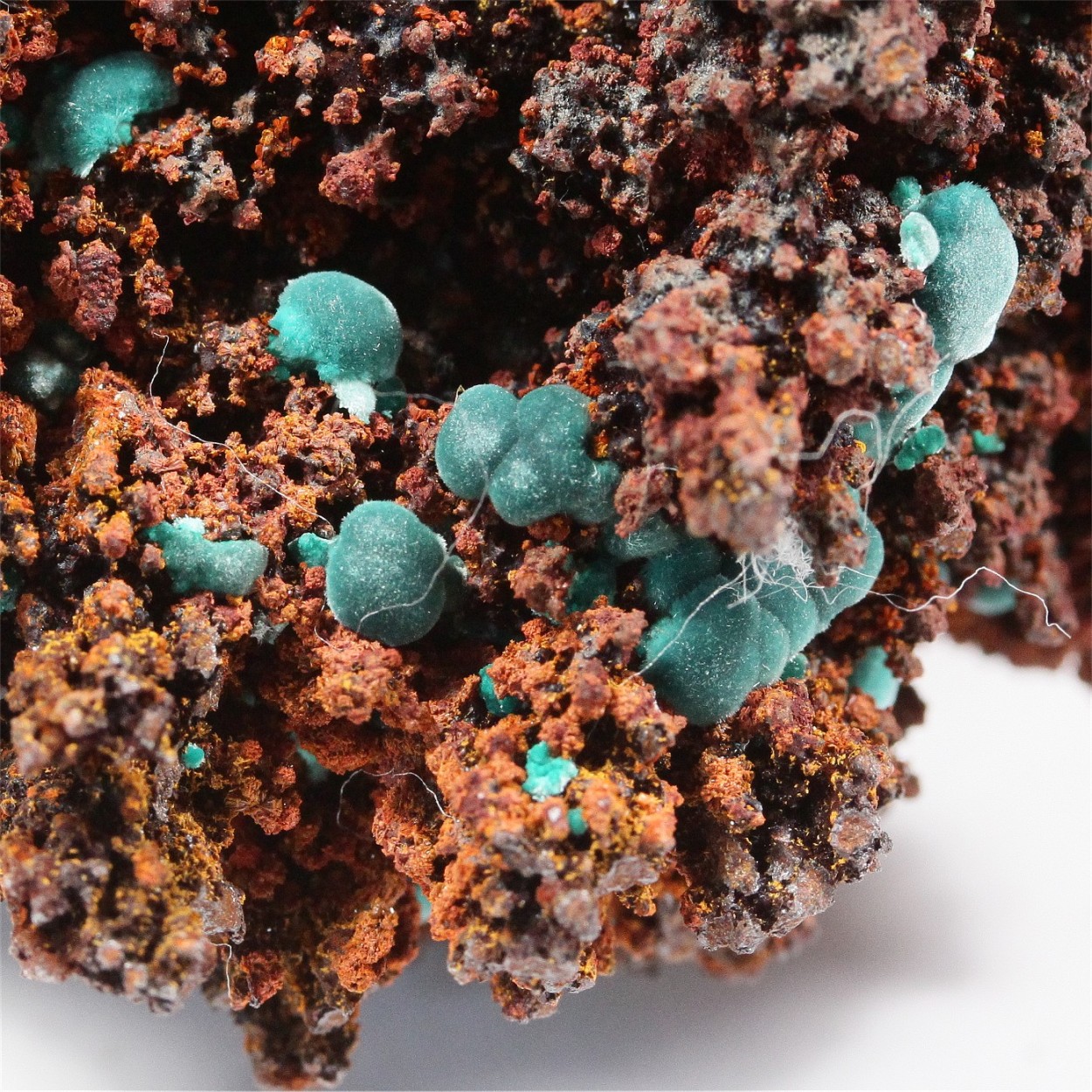 Aragonite With Limonite & Rosasite