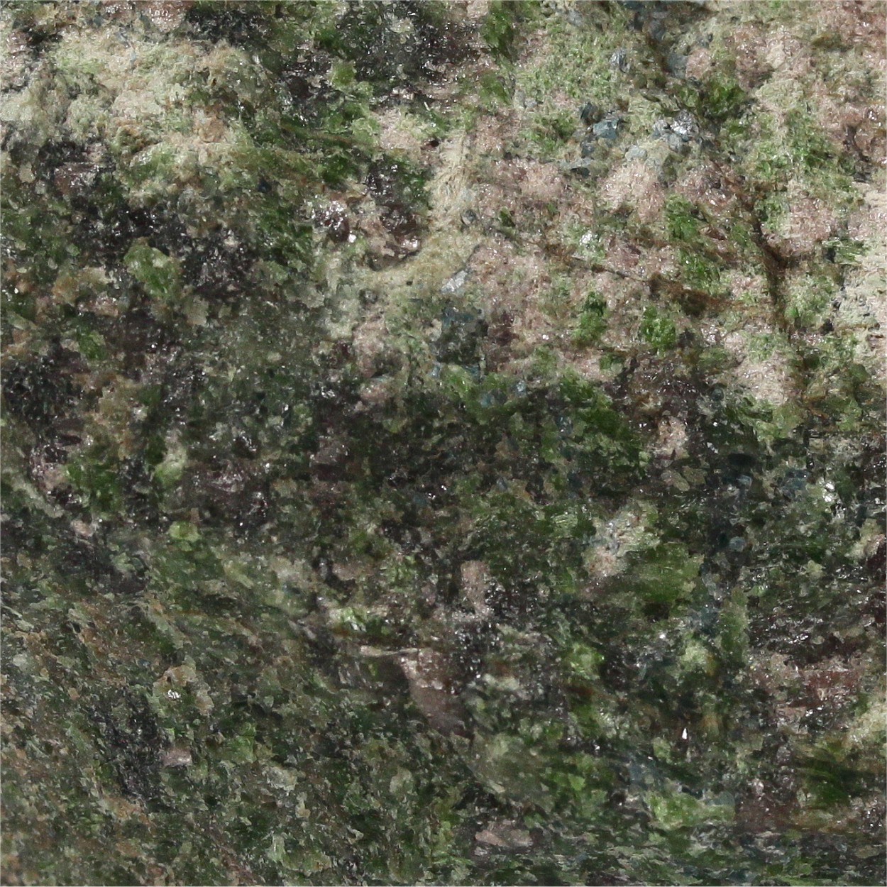 Actinolite Var Smaragdite