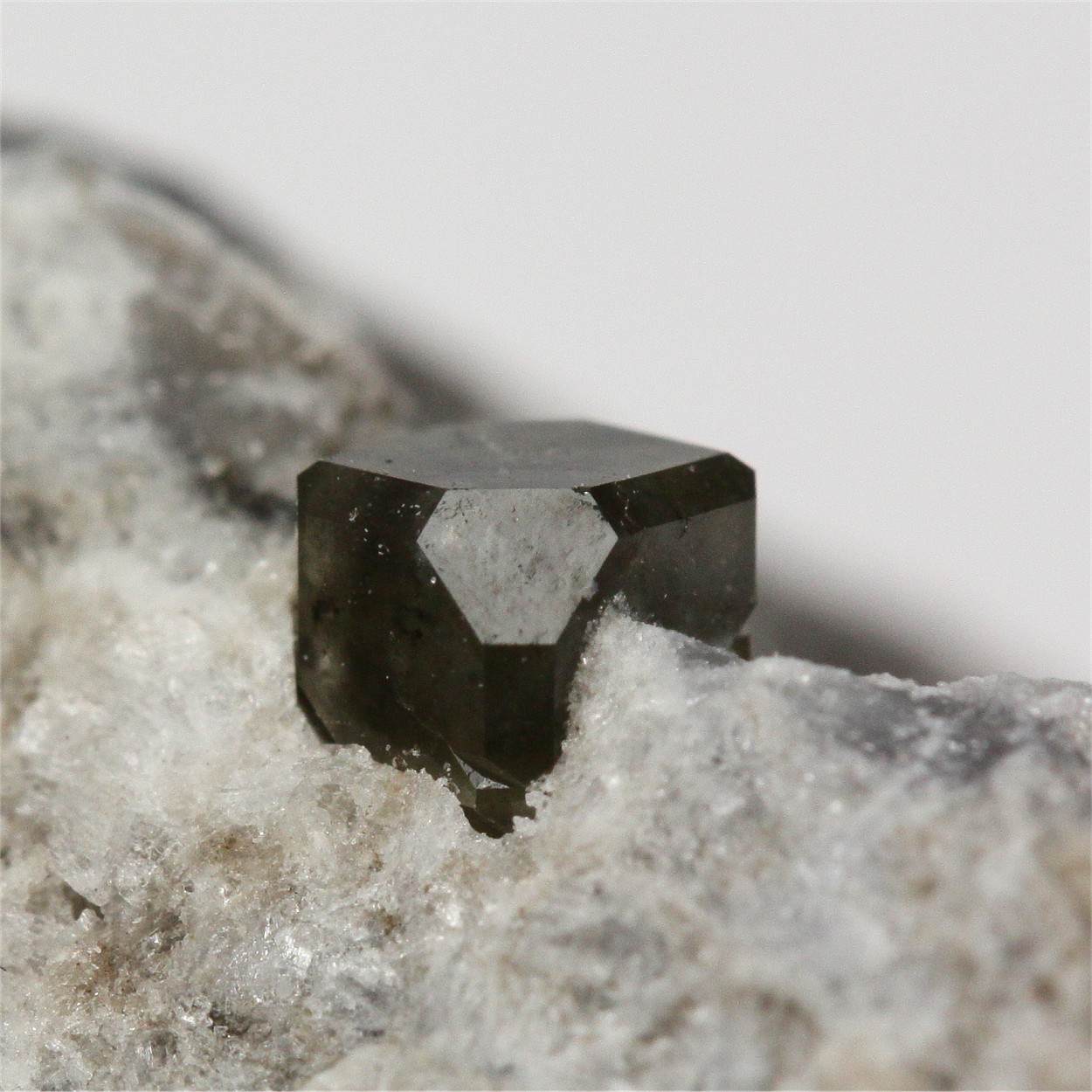 Boracite In Anhydrite