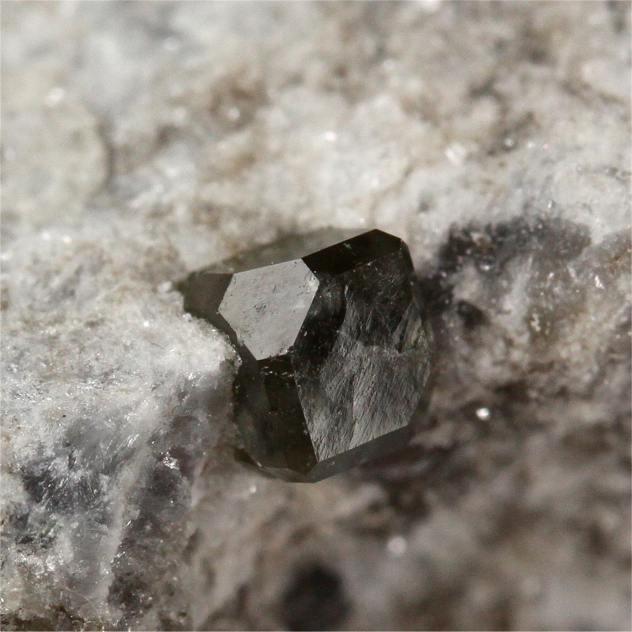 Boracite In Anhydrite