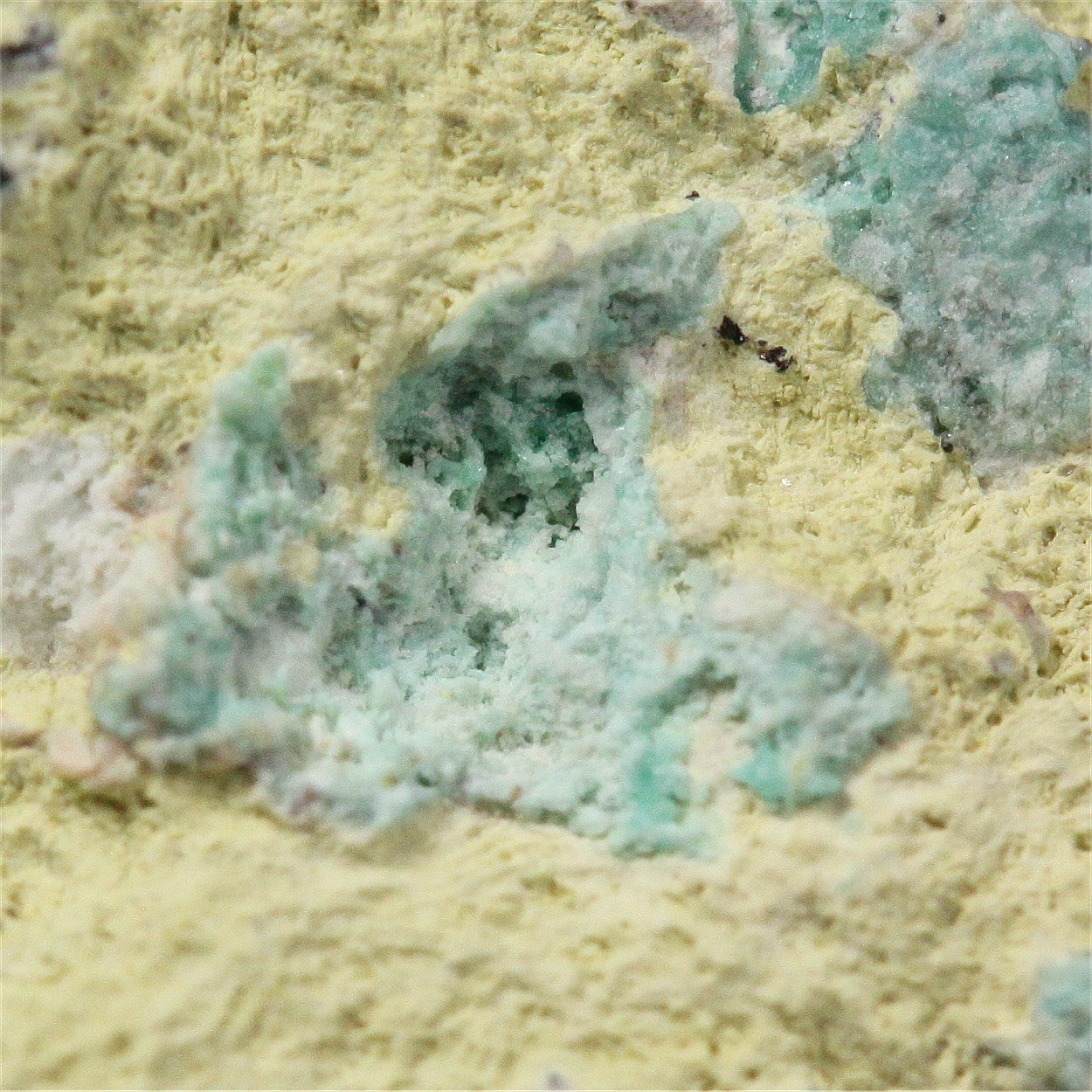 Varlamoffite With Turquoise