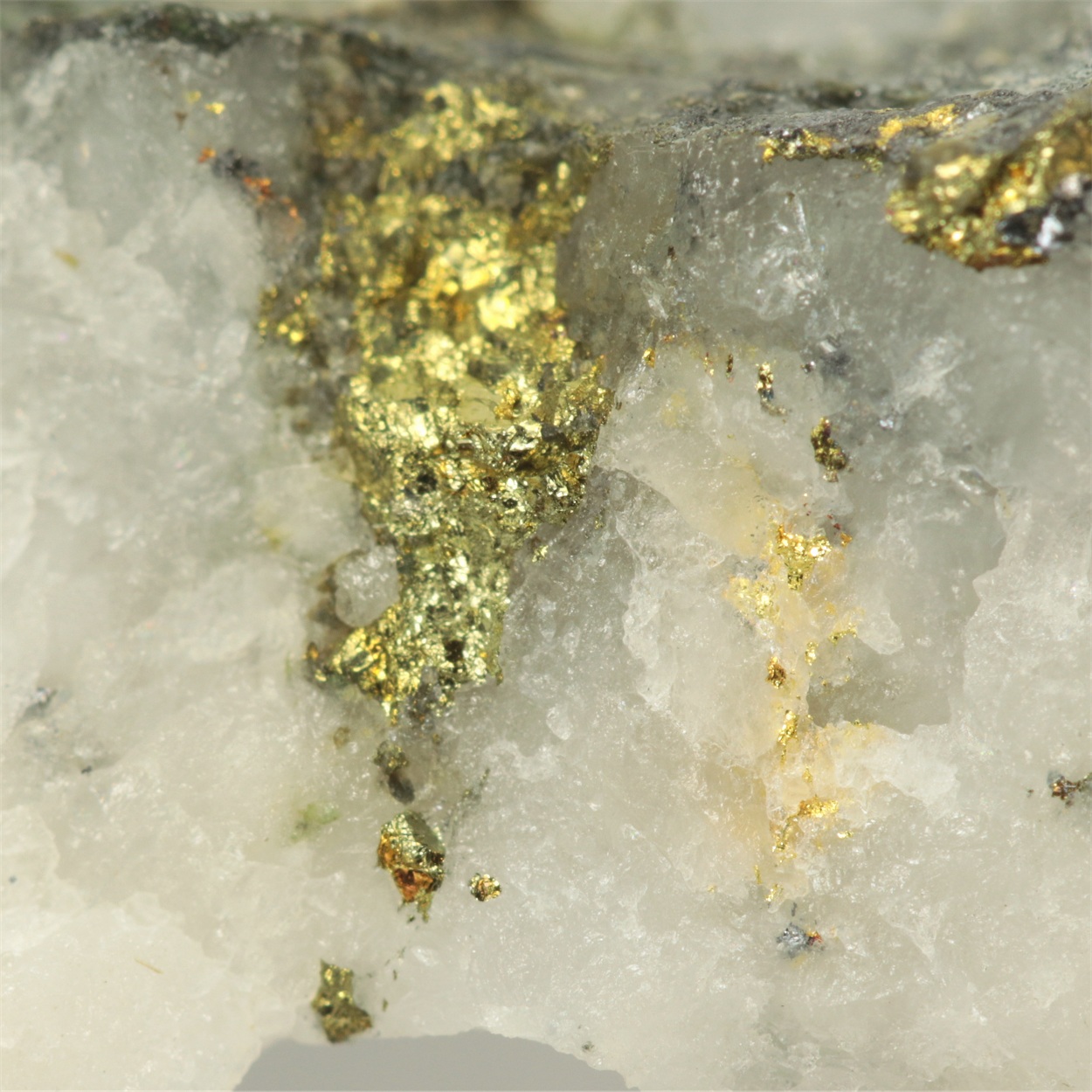 Gold With Chalcopyrite