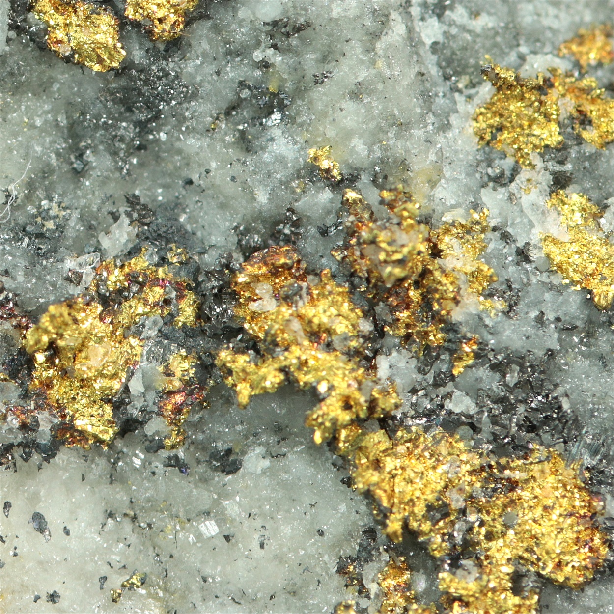 Gold With Tetrahedrite