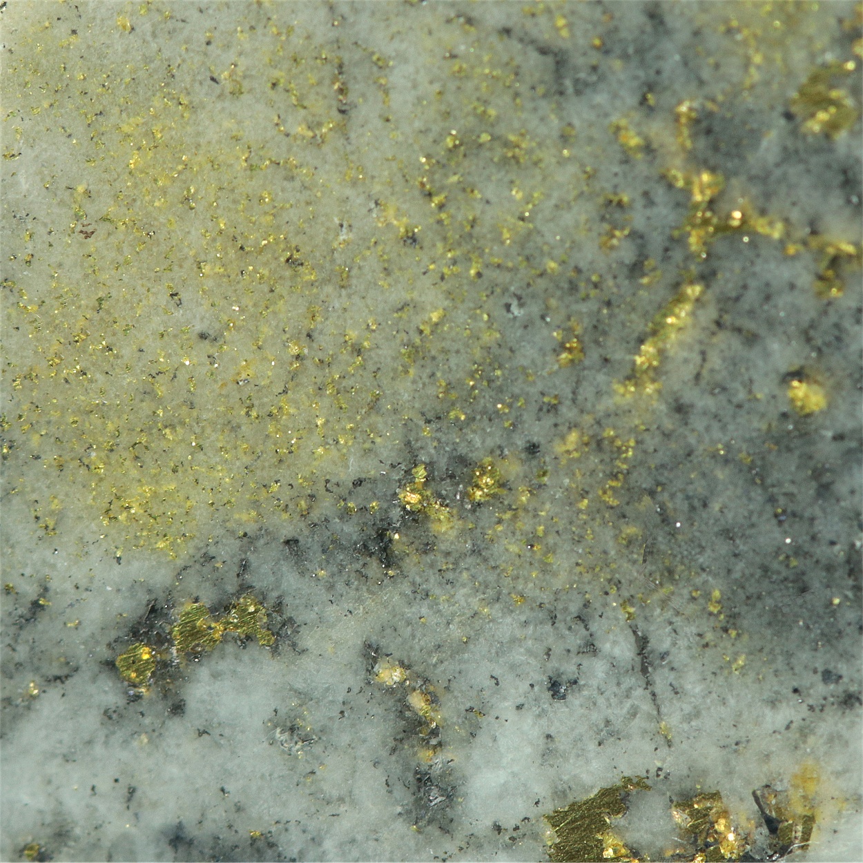 Gold With Tetrahedrite