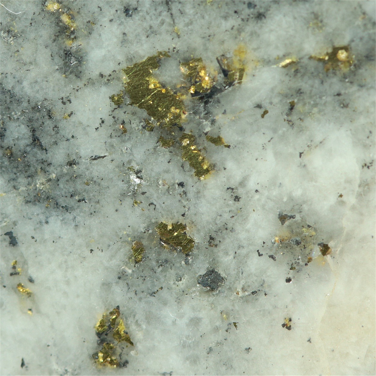 Gold With Tetrahedrite