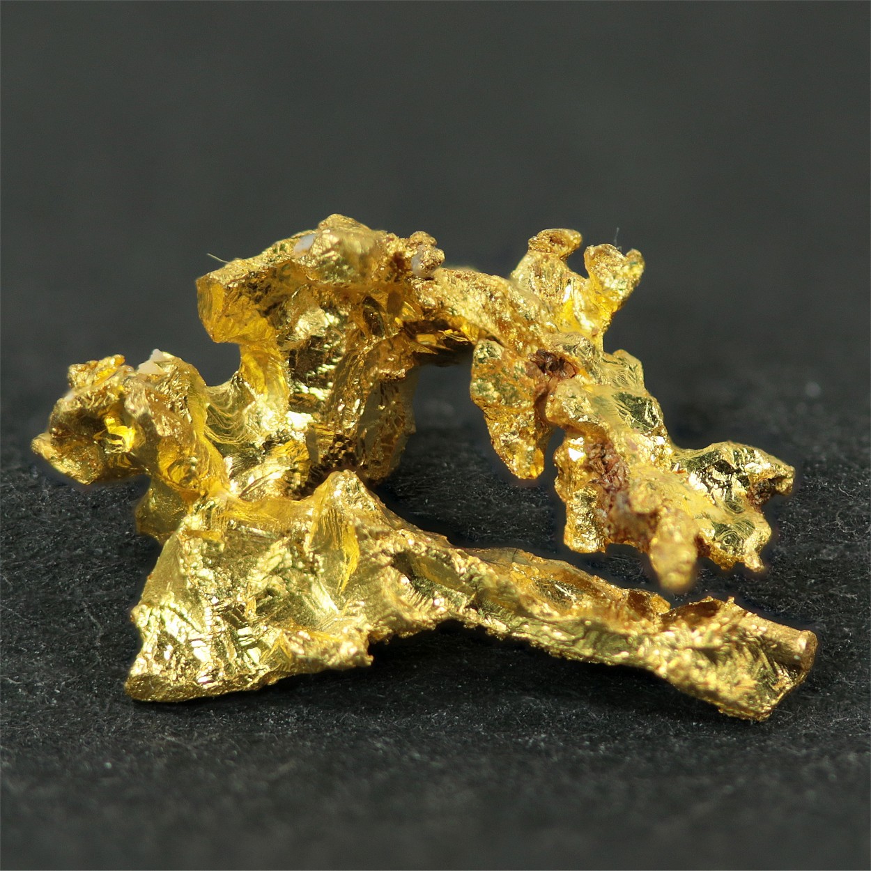 Gold