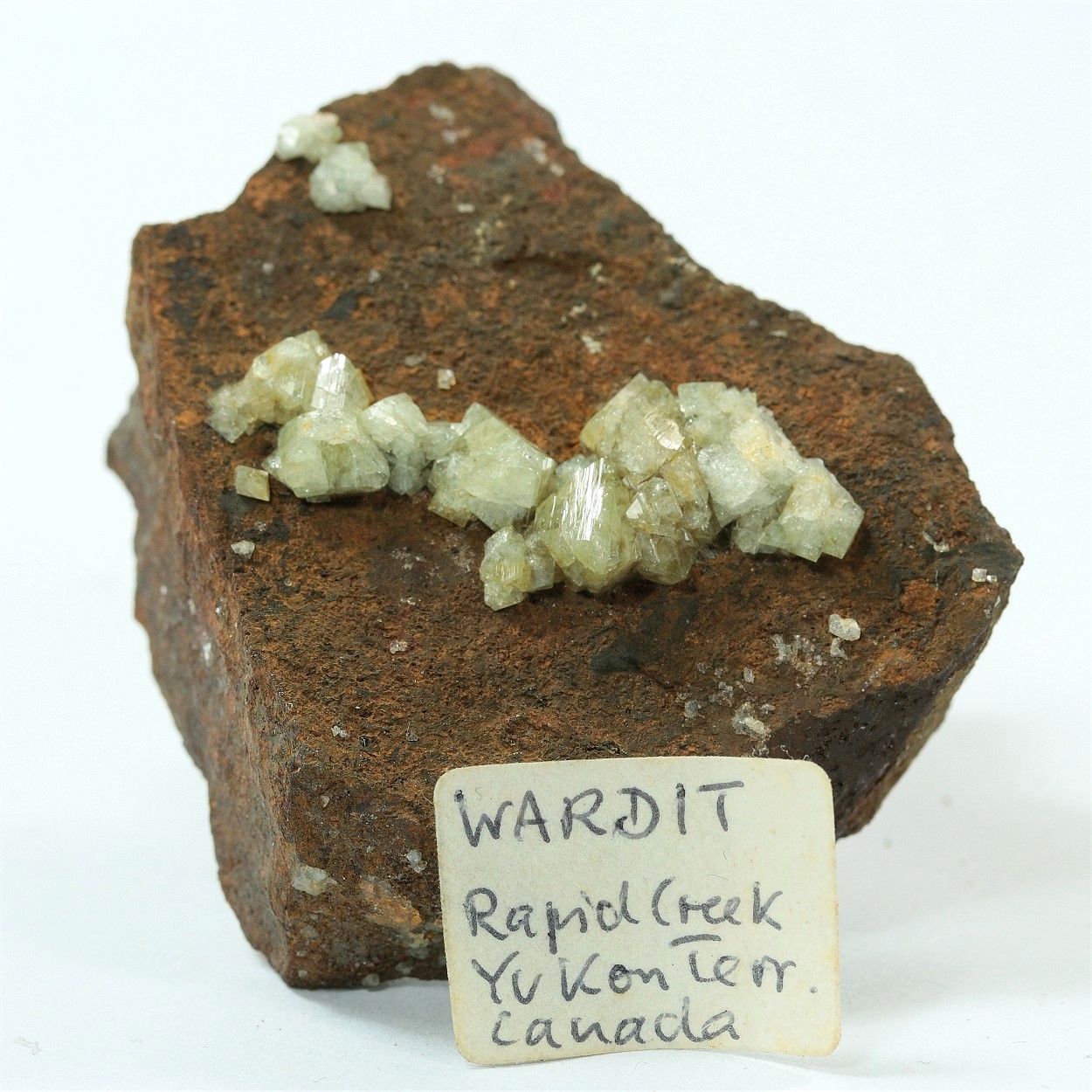 Wardite