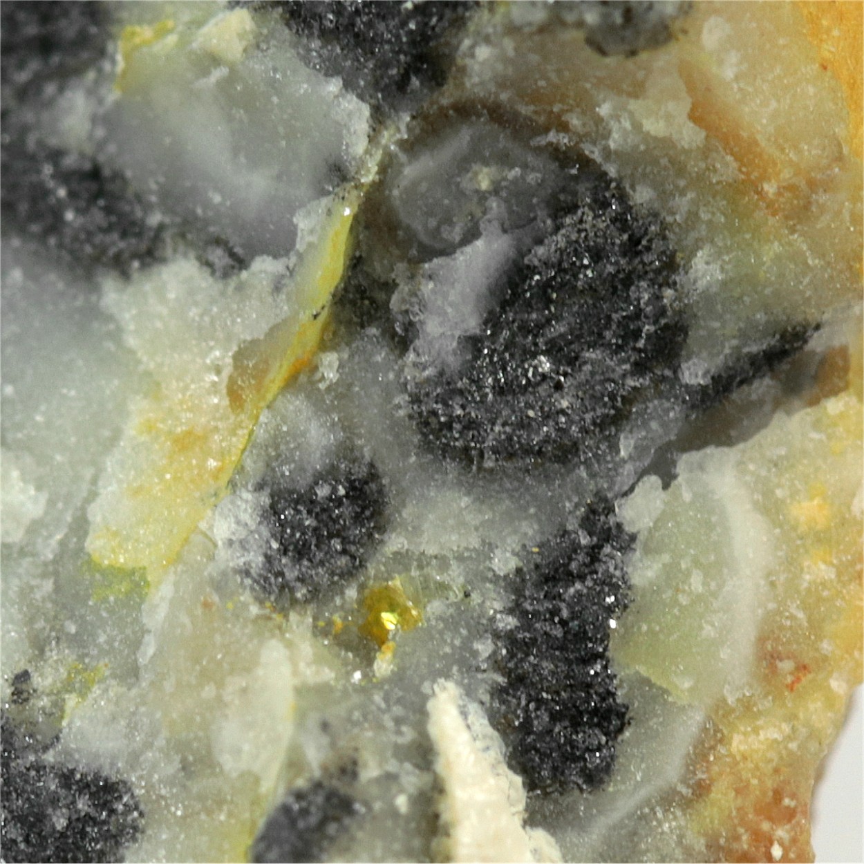 Native Tellurium With Tellurite