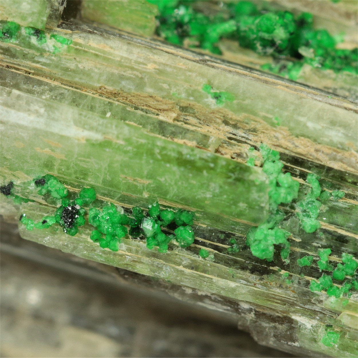 Chrome-Bearing Grossular With Diopside