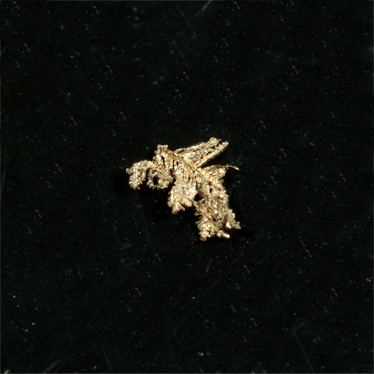 Gold Var Palladian Gold