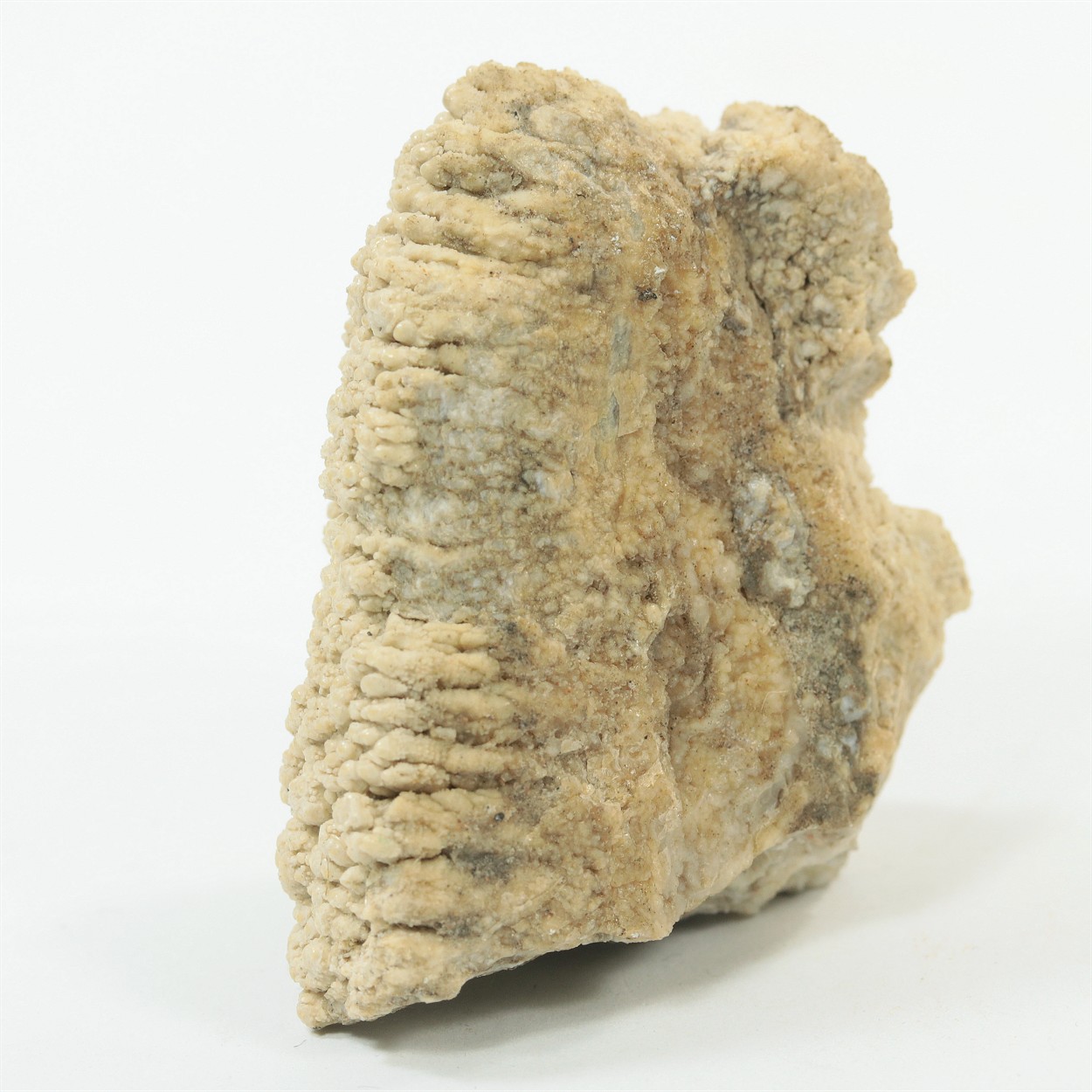 Opal-CT
