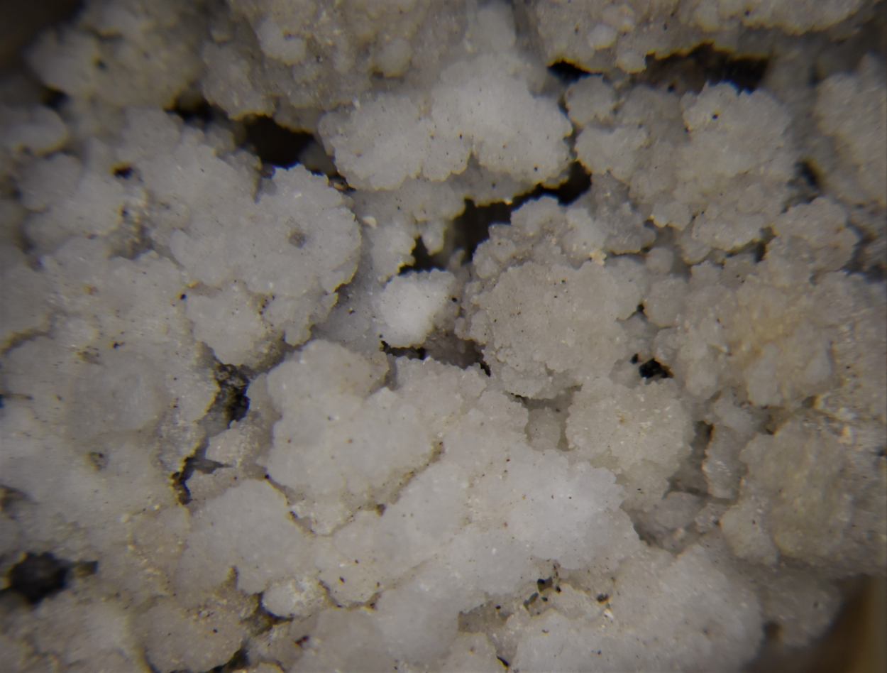 Arsenolite