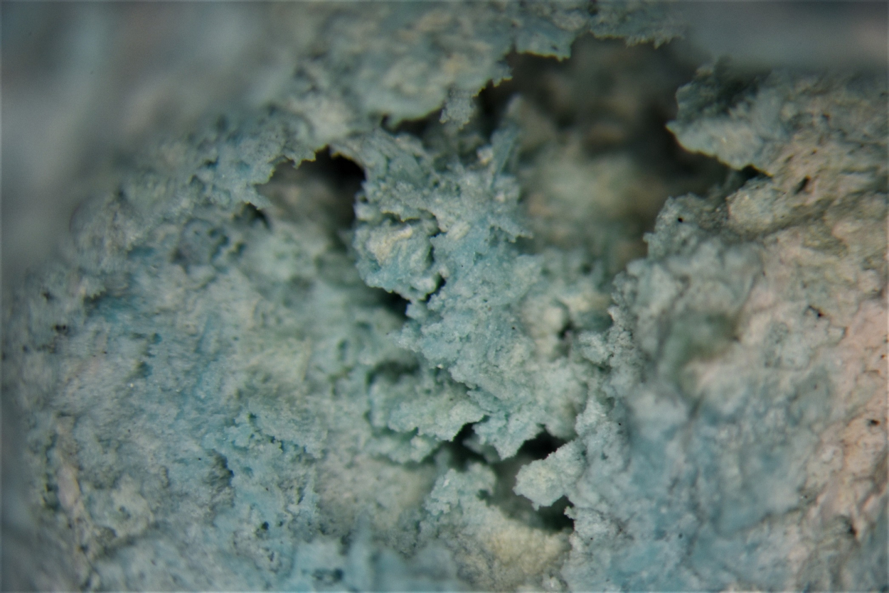 Turquoise