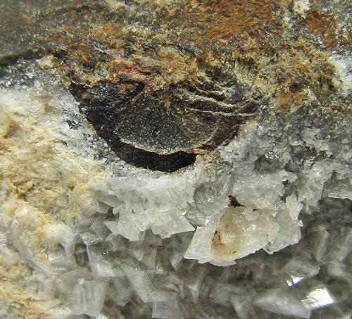Bravoite