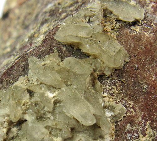 Whewellite