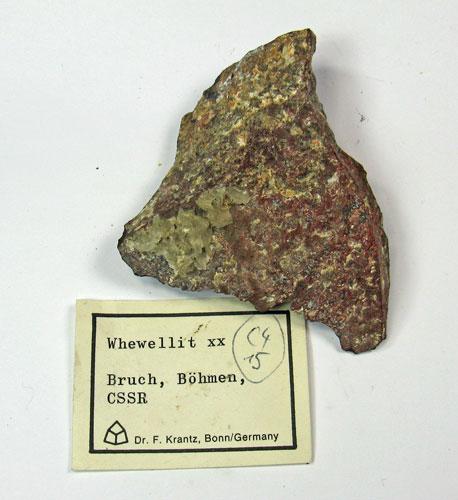 Whewellite