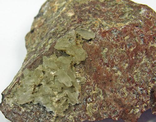 Whewellite