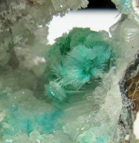 Aurichalcite & Hemimorphite