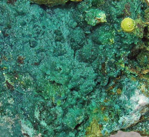 Chrysocolla Psm Aurichalcite