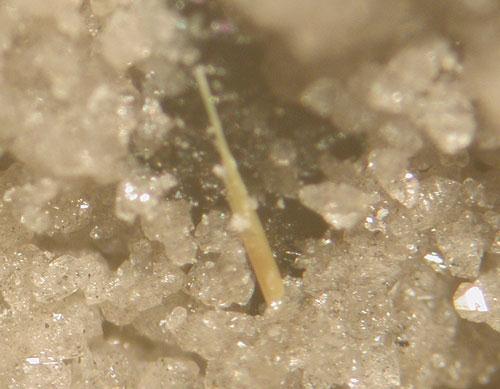 Holfertite