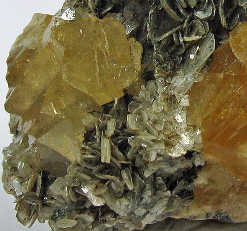 Scheelite On Muscovite