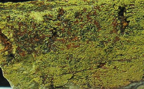 Earlshannonite