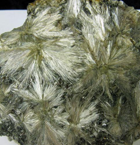 Anthophyllite