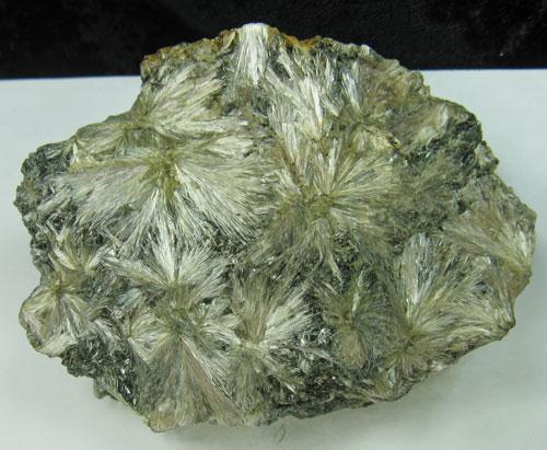 Anthophyllite